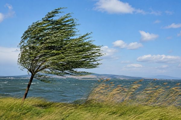 Meteoroloji’den kuvvetli rüzgar uyarısı