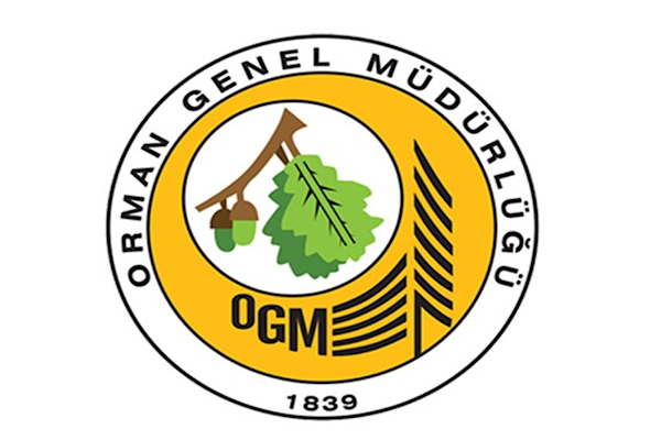 Muğla’daki yangınlar büyük ölçüde kontrol altına alındı