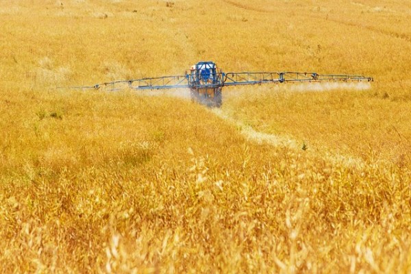 TÜRİB Buğday Ekmeklik Endeksi haftayı yüzde 4,75 artışla tamamladı