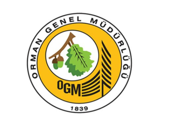 OGM: Antalya ve Adana’daki yangınlara müdahale sürüyor